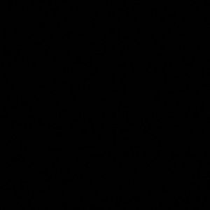 Meet your Posher, Tamara